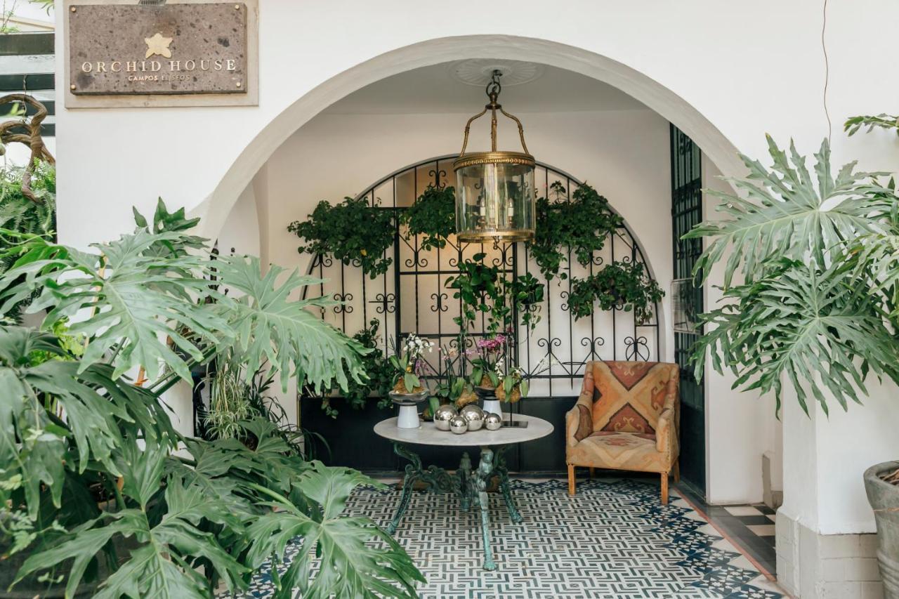 Orchid House Polanco Otel Meksika Dış mekan fotoğraf