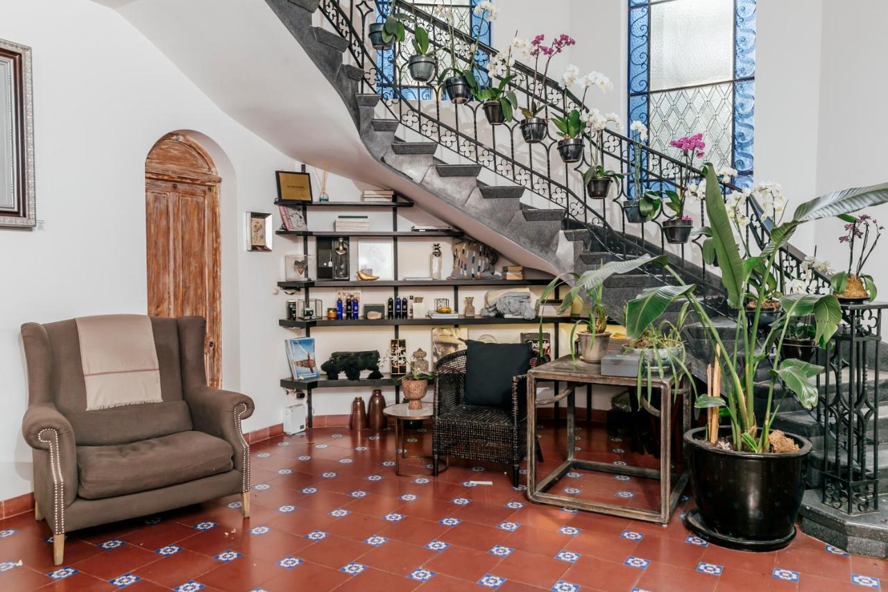 Orchid House Polanco Otel Meksika Dış mekan fotoğraf