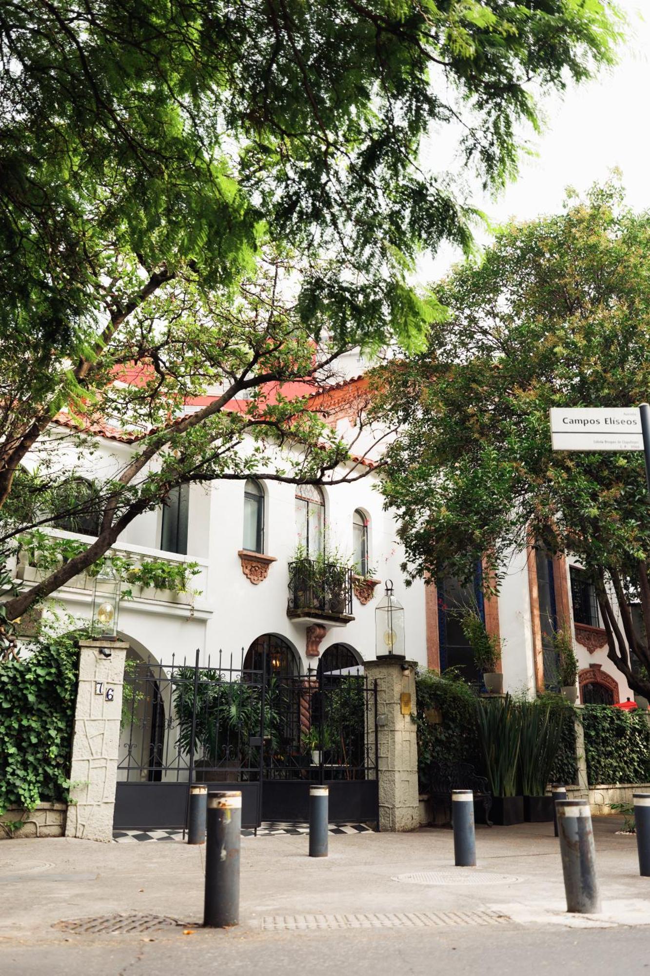 Orchid House Polanco Otel Meksika Dış mekan fotoğraf