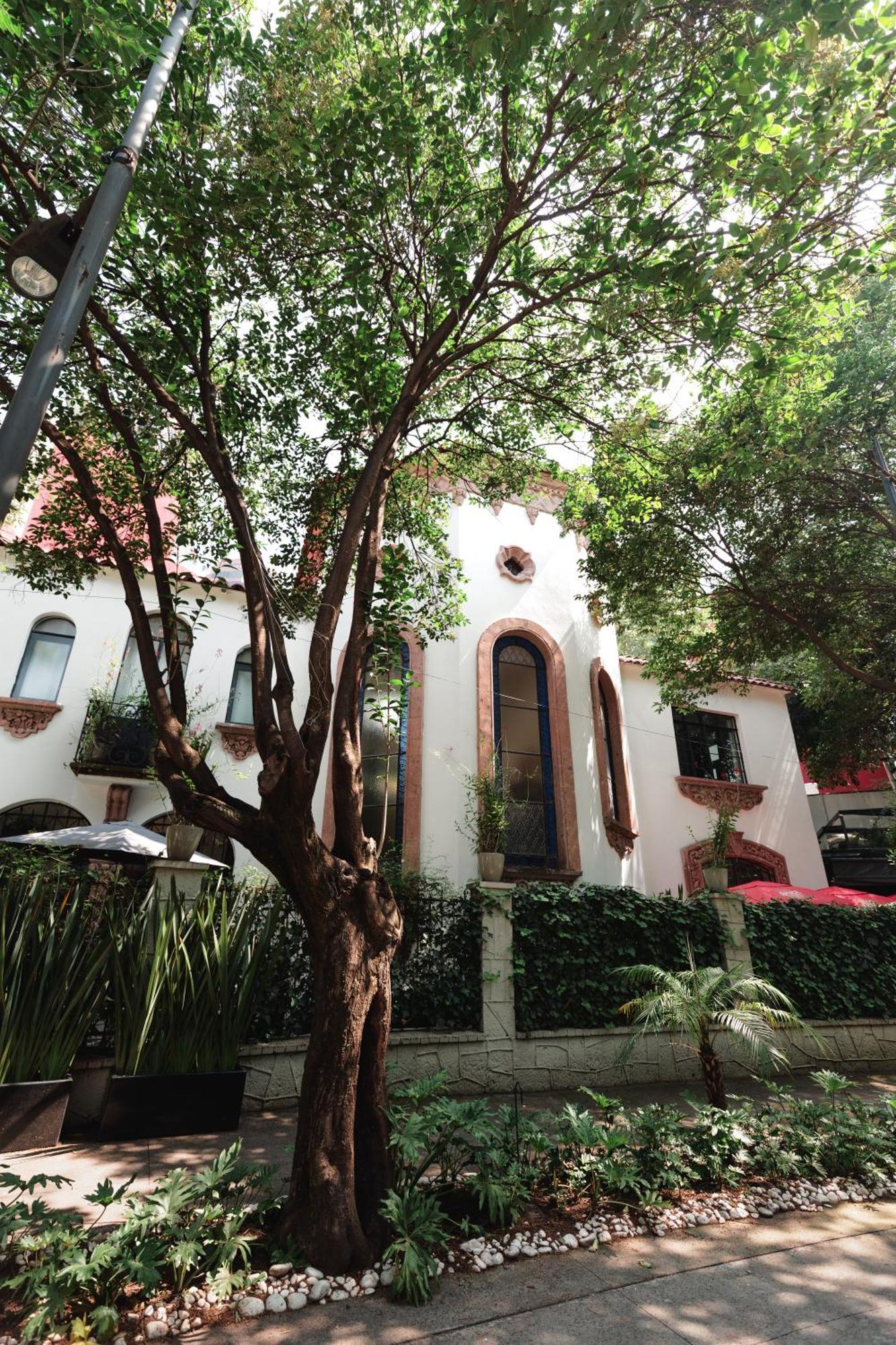 Orchid House Polanco Otel Meksika Dış mekan fotoğraf