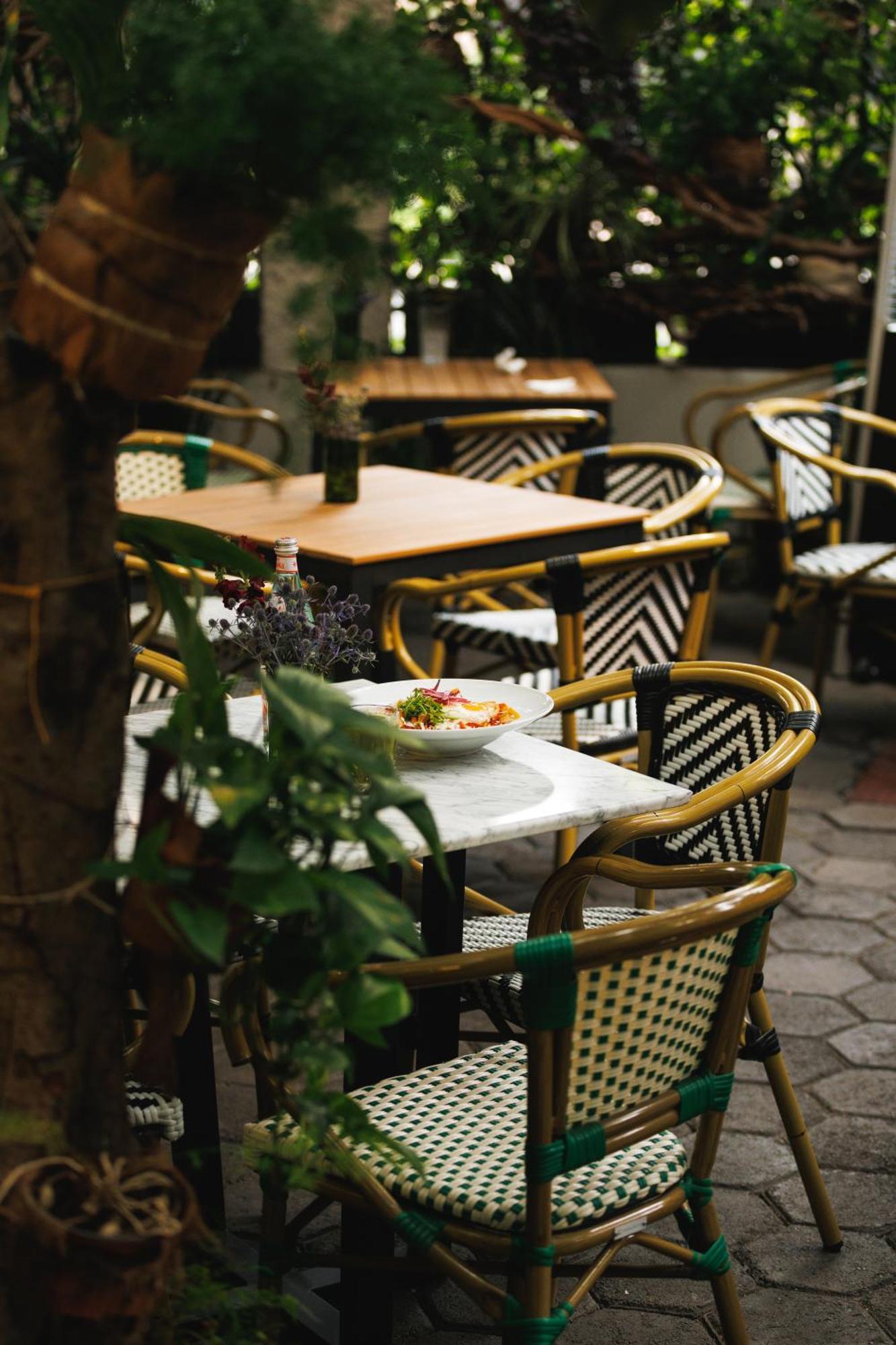 Orchid House Polanco Otel Meksika Dış mekan fotoğraf