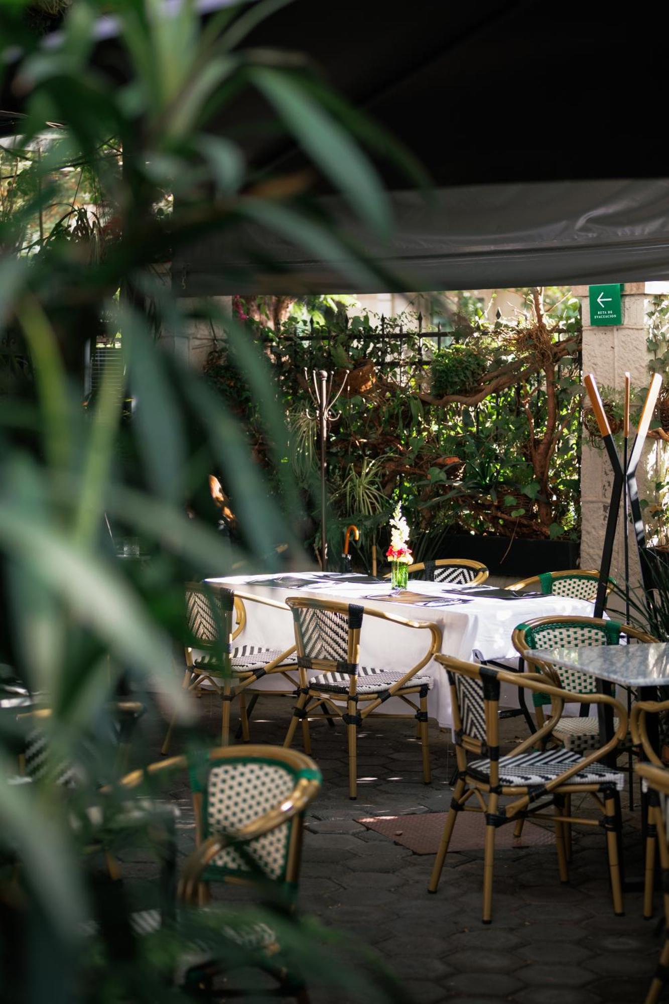 Orchid House Polanco Otel Meksika Dış mekan fotoğraf