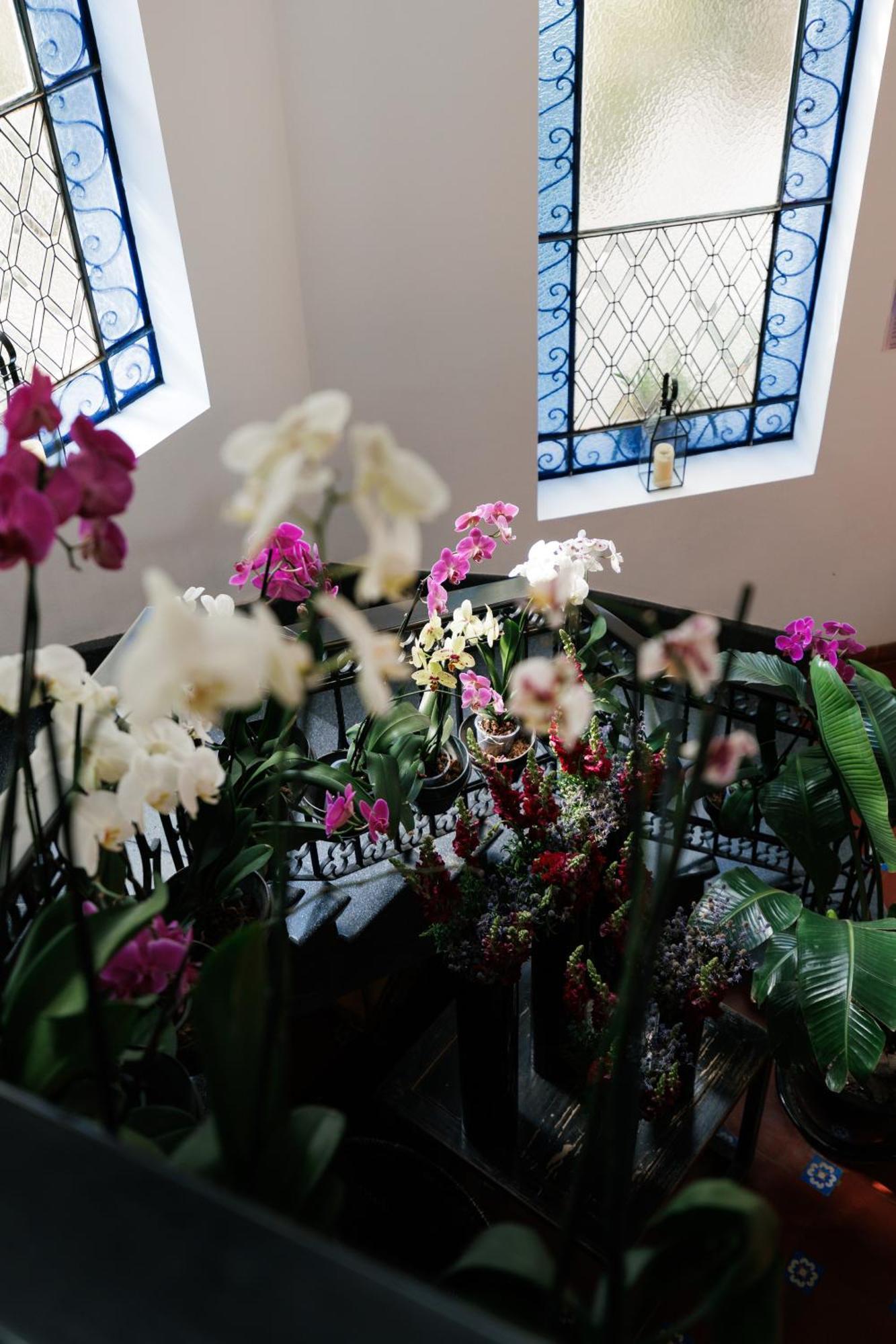 Orchid House Polanco Otel Meksika Dış mekan fotoğraf
