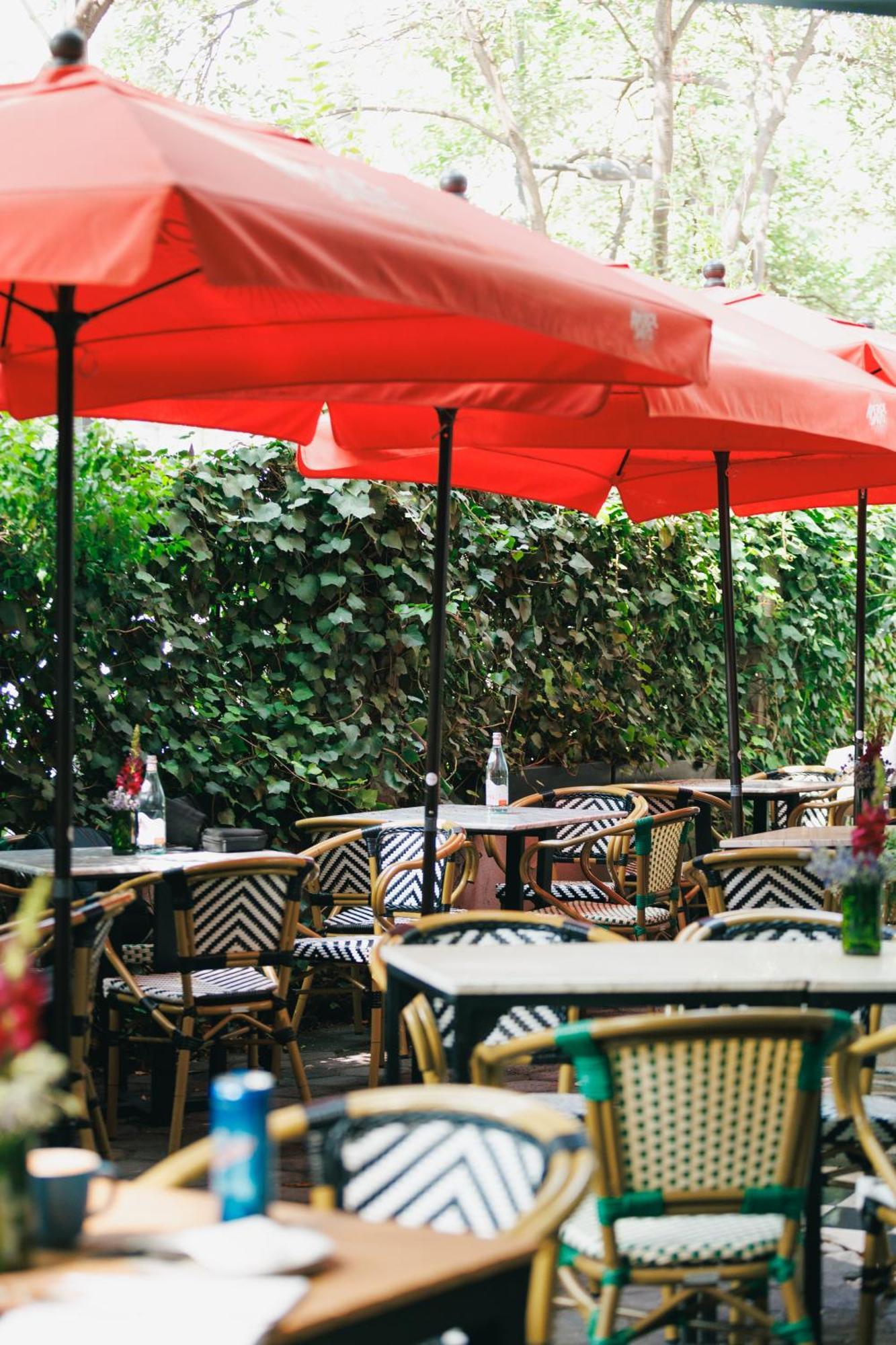 Orchid House Polanco Otel Meksika Dış mekan fotoğraf