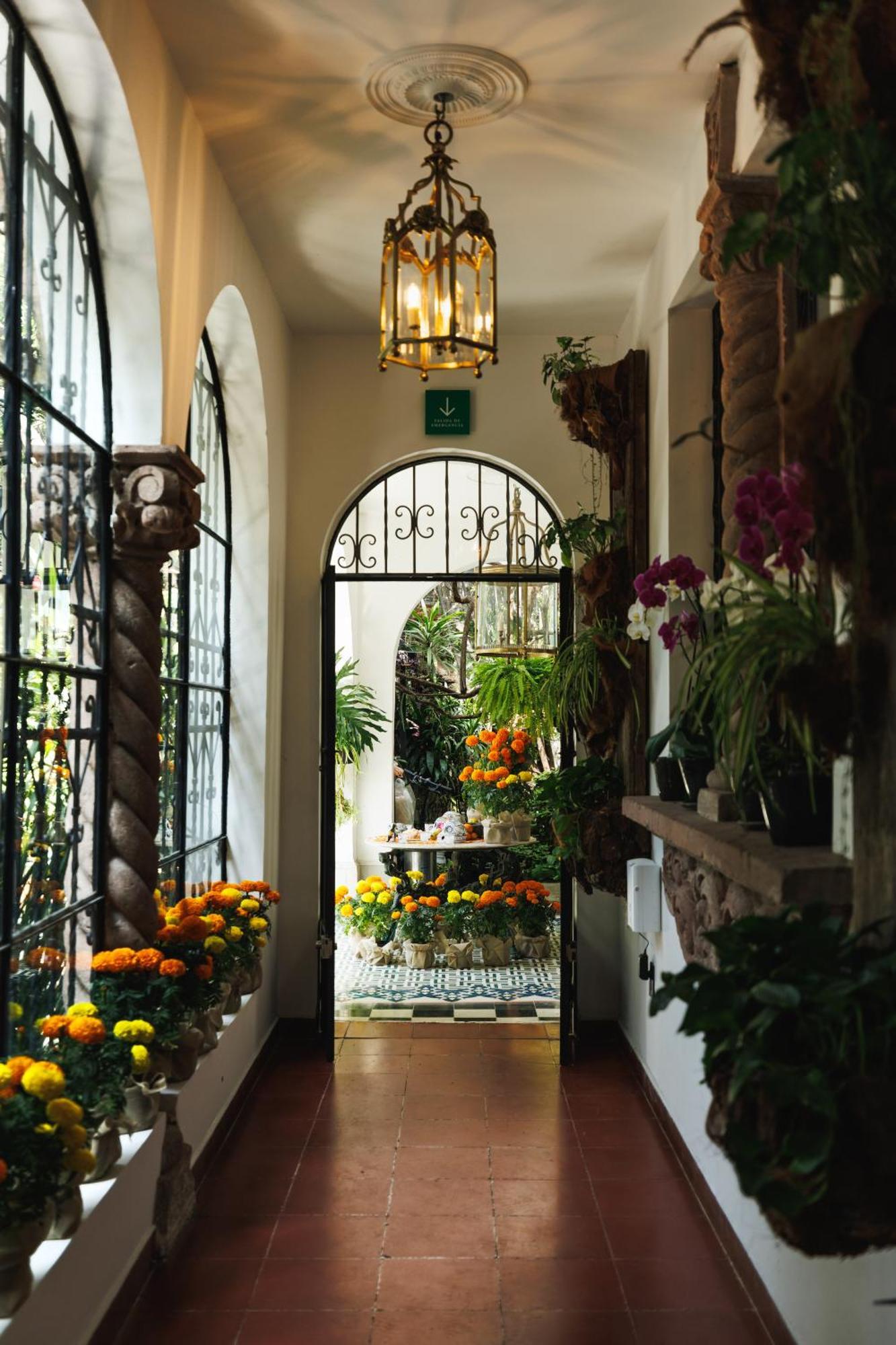 Orchid House Polanco Otel Meksika Dış mekan fotoğraf