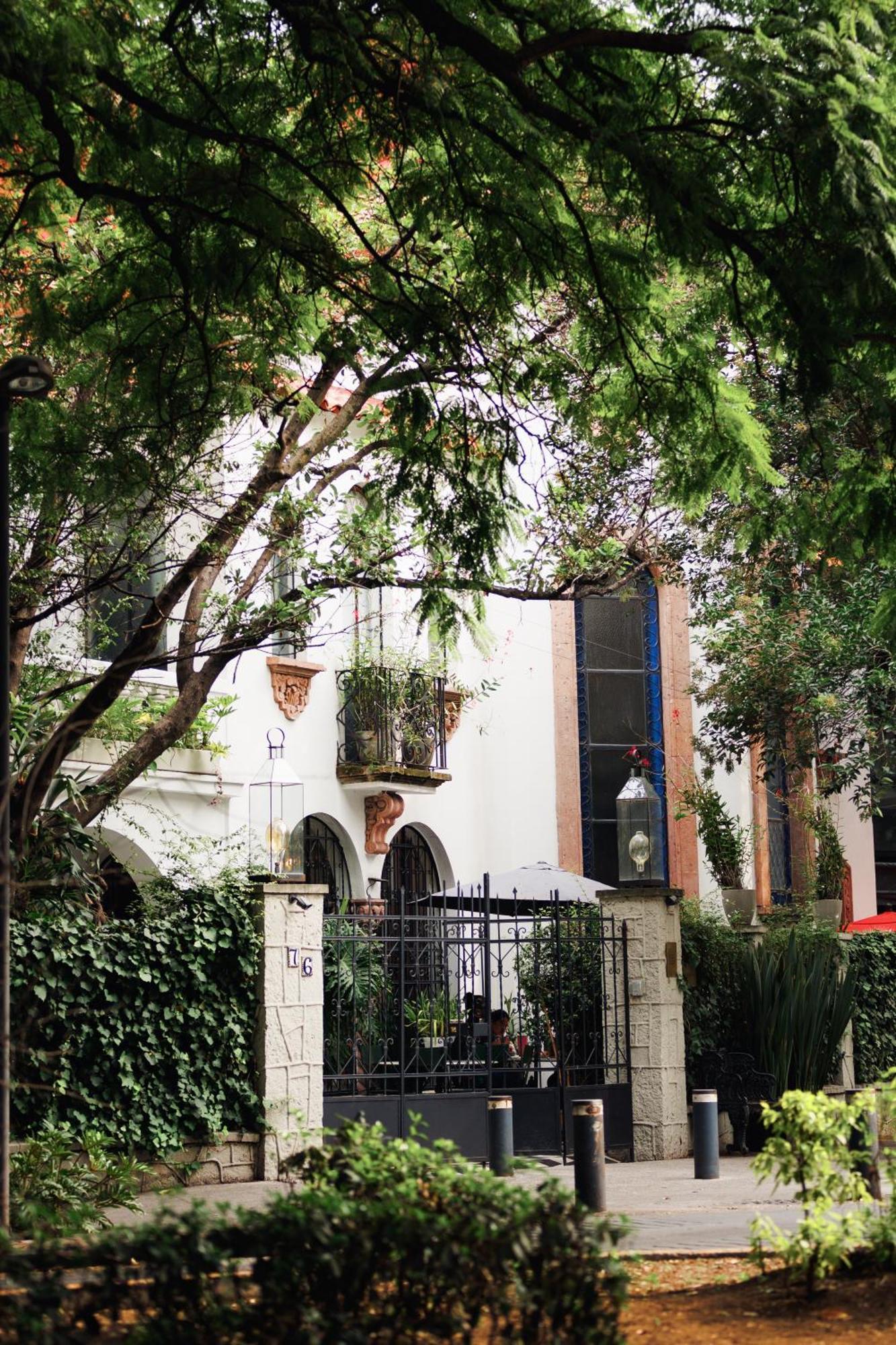 Orchid House Polanco Otel Meksika Dış mekan fotoğraf