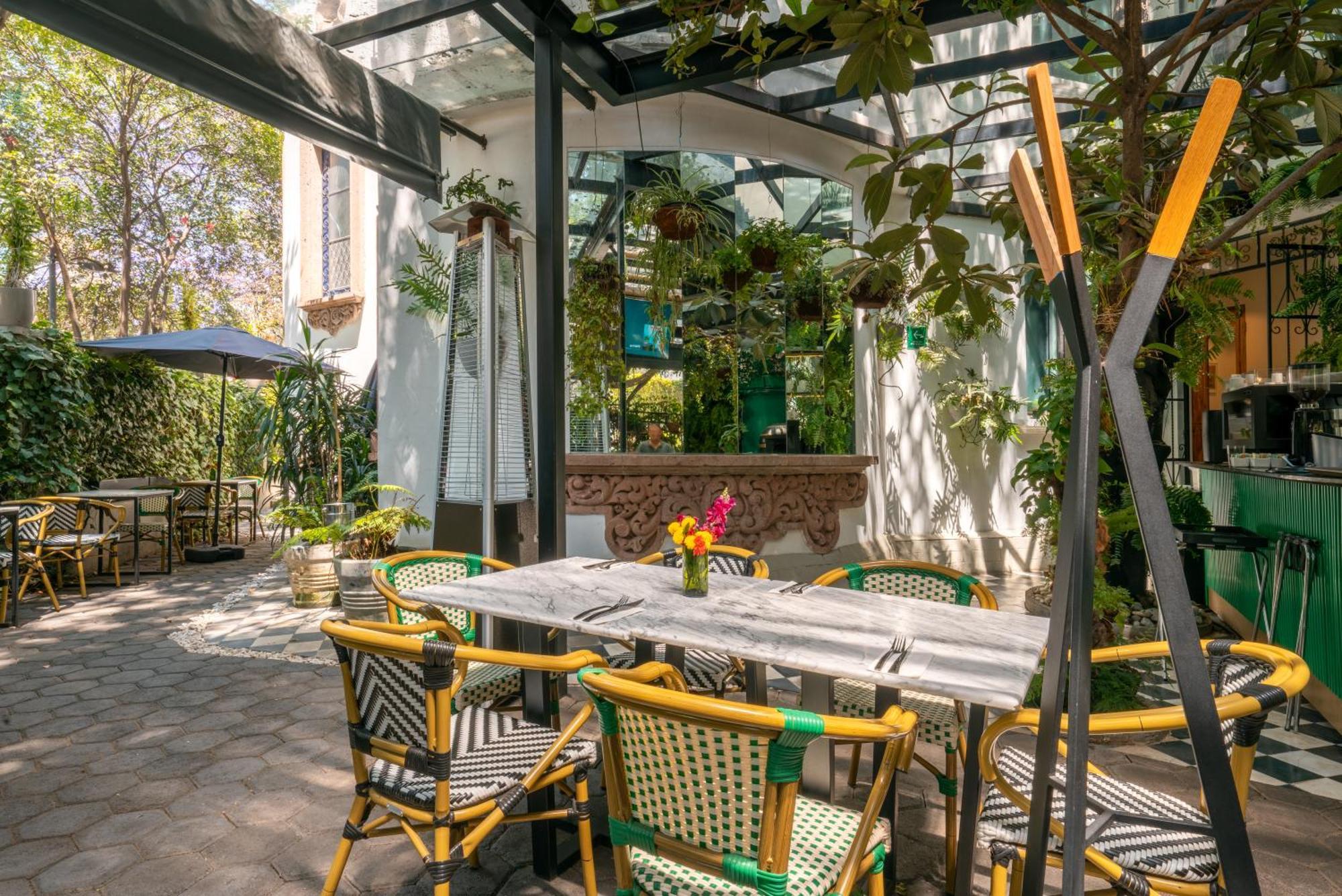 Orchid House Polanco Otel Meksika Dış mekan fotoğraf