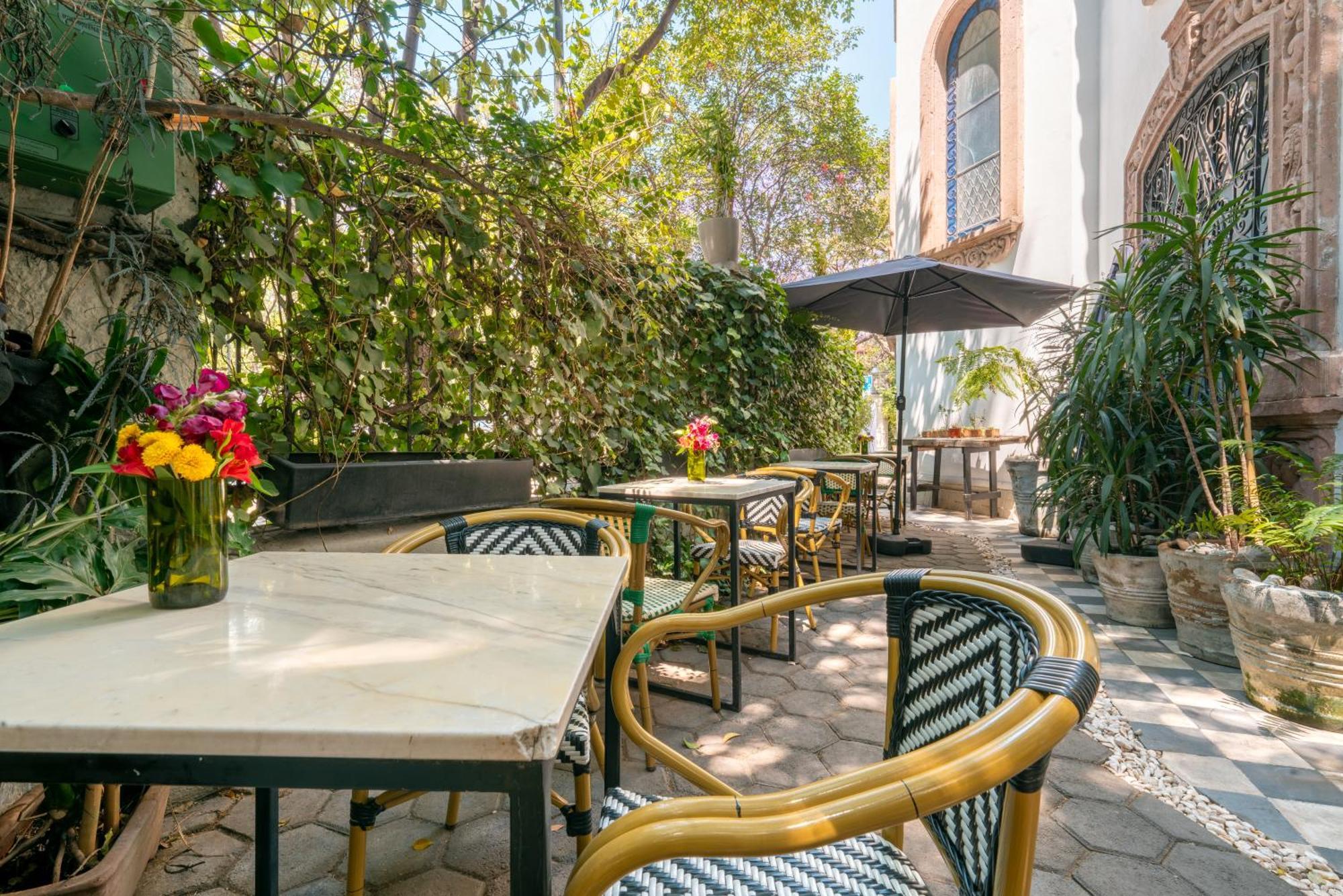 Orchid House Polanco Otel Meksika Dış mekan fotoğraf