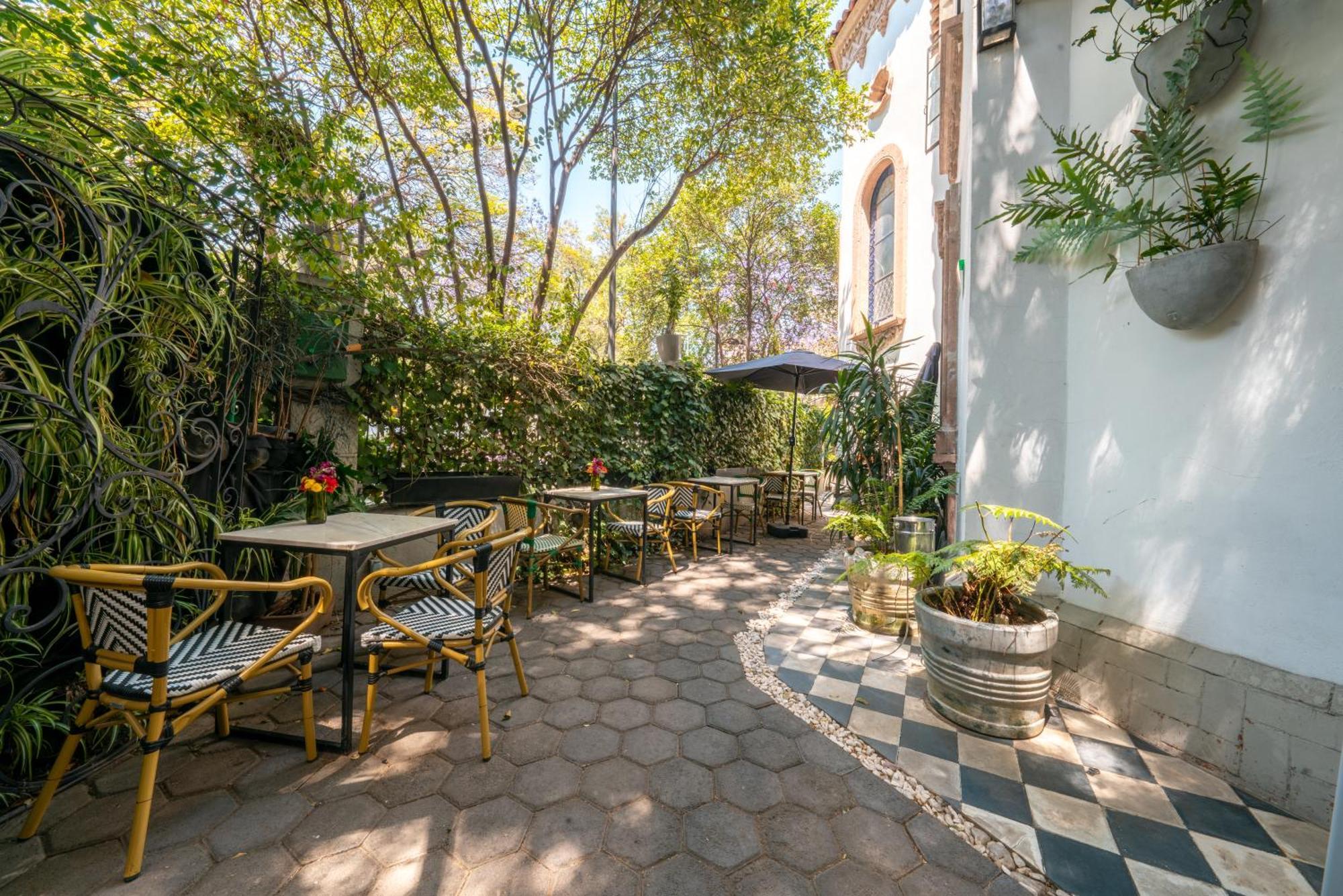 Orchid House Polanco Otel Meksika Dış mekan fotoğraf