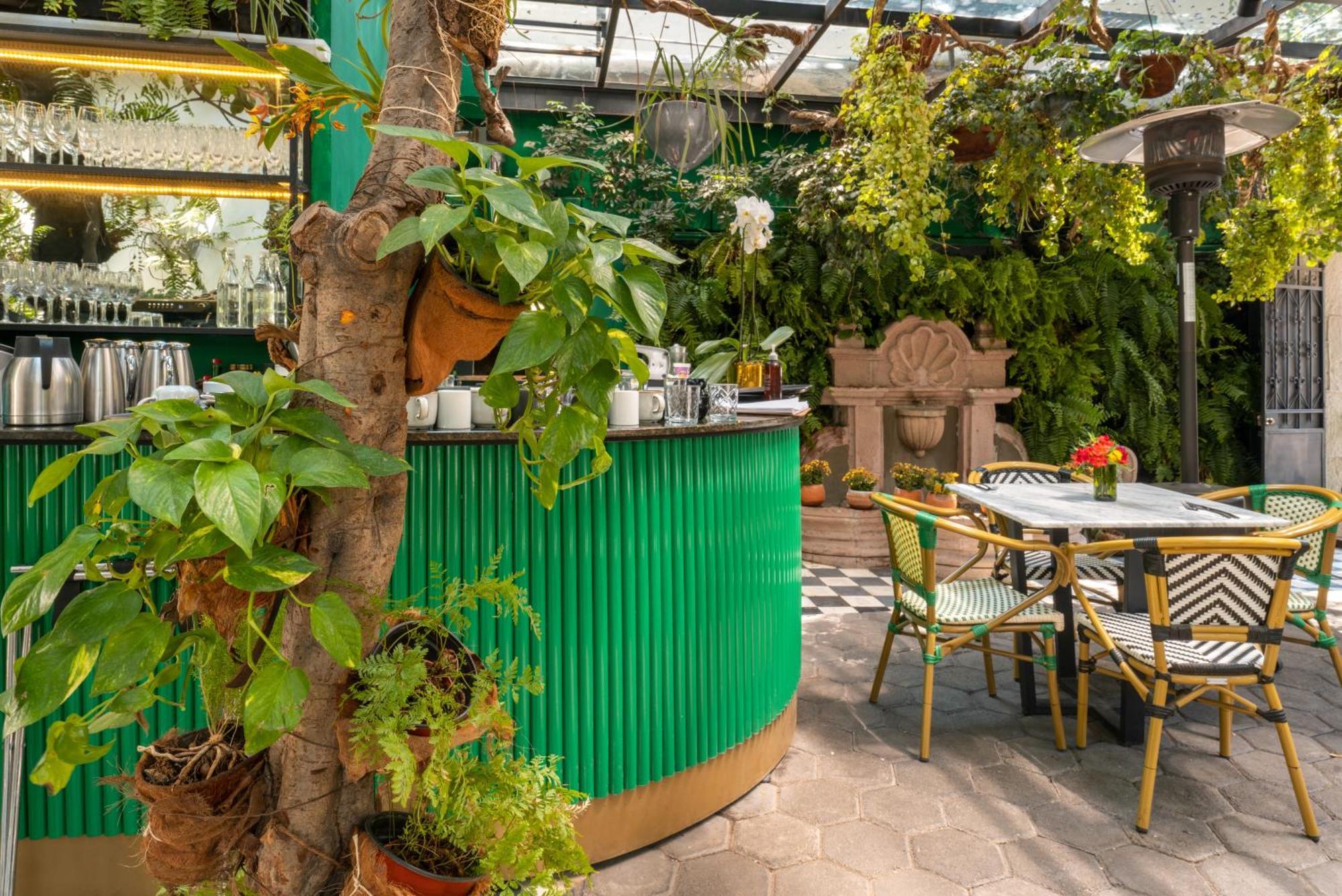Orchid House Polanco Otel Meksika Dış mekan fotoğraf